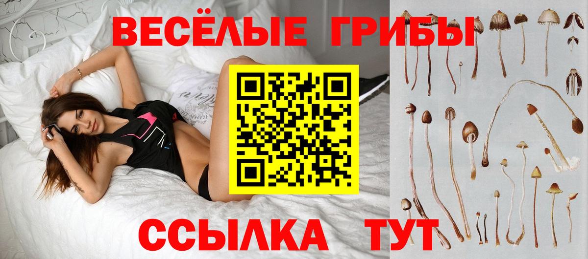Галлюциногенные грибы Psilocybe  где купить наркоту  Галлюциногенные грибы MAGIC MUSHROOMS  Бердск  Вход с VPN 