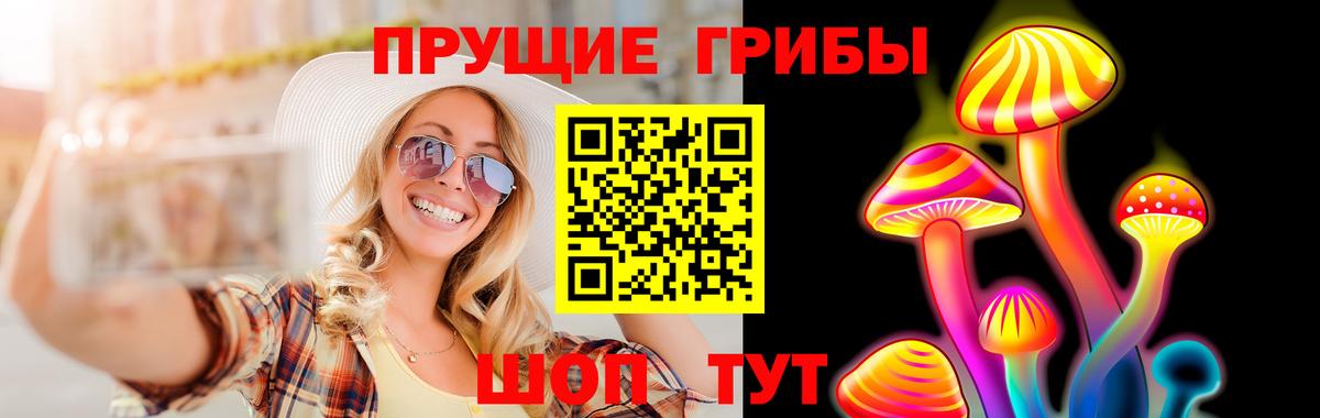 Псилоцибиновые грибы Psilocybine cubensis Бердск