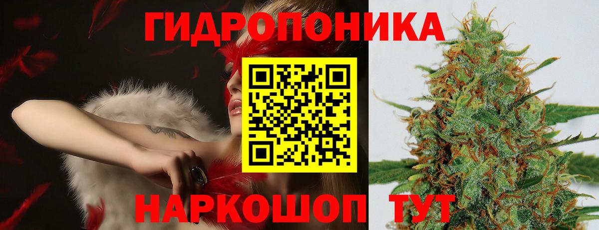 Бердск  Марихуана OG Kush  Вход с VPN  Шишки марихуана THC 21% 